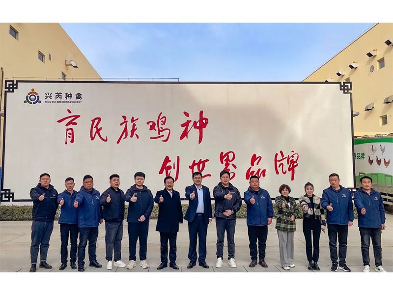 參觀學習促進步 交流合作贏發(fā)展︱卓一牧業(yè)赴興芮種禽、峪口禽業(yè)與瑞普生物參觀訪學