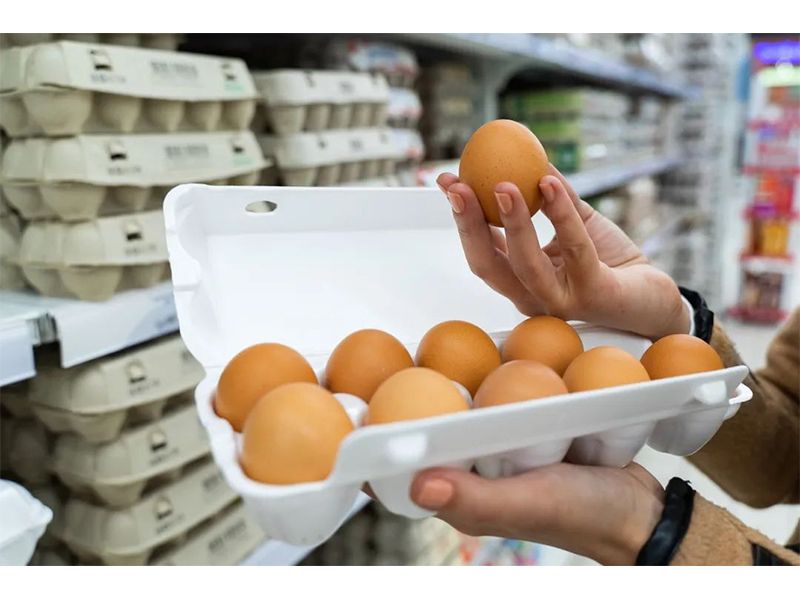 什么是快樂農場？我們如何才能實現(xiàn)它