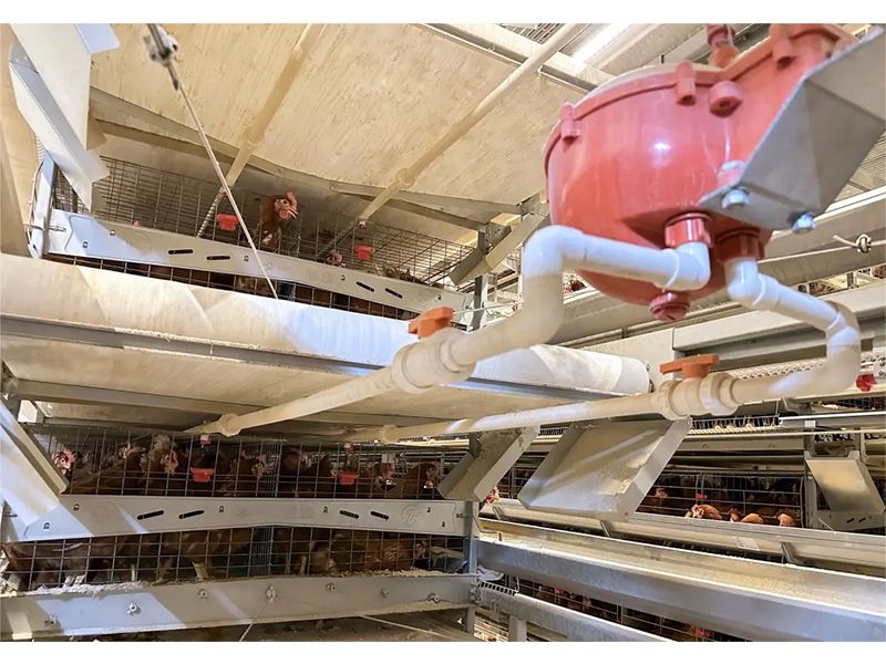 養(yǎng)殖場(chǎng)如何做到飲水安全？