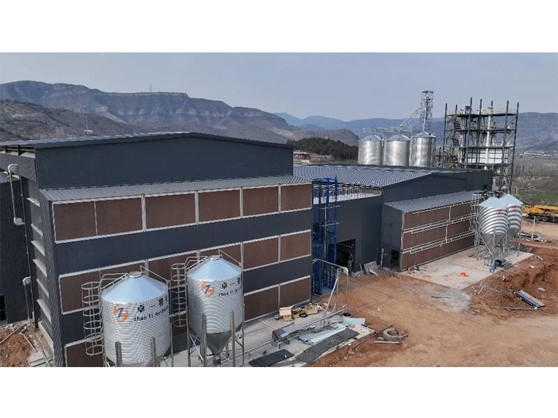 夏季養(yǎng)雞僅關(guān)注溫度環(huán)境？飼料安全須高度重視！