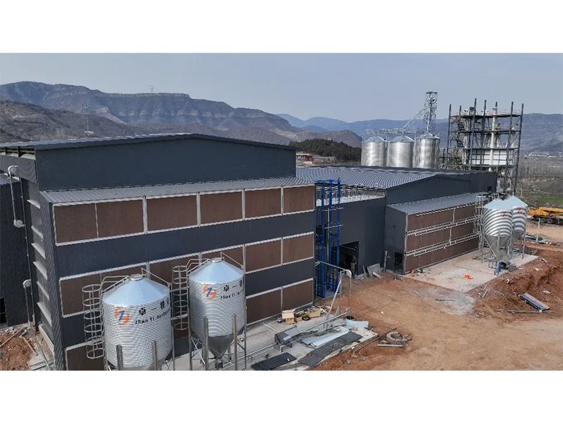 夏季養(yǎng)雞僅關(guān)注溫度環(huán)境？飼料安全須高度重視！