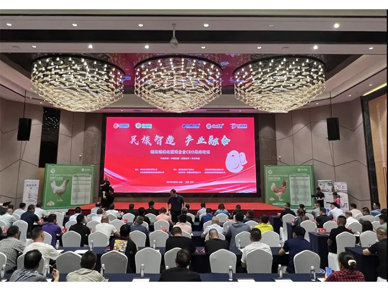 熱烈祝賀湖南規(guī)?；半u企業(yè)CEO高峰論壇取得圓滿成功！