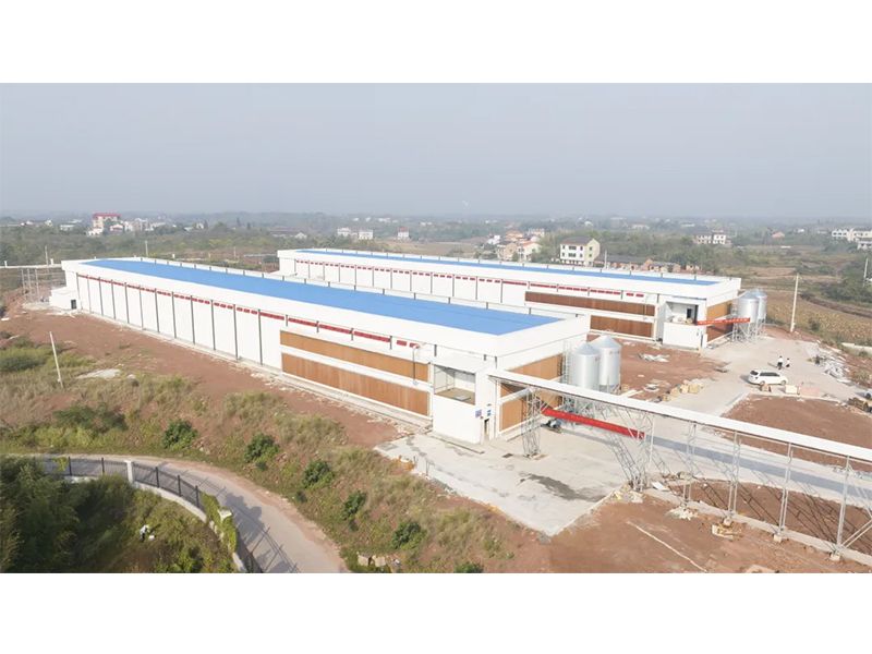 熱烈祝賀西南地區(qū)300萬羽蛋雞養(yǎng)殖基地驗收成功，上雞大吉！