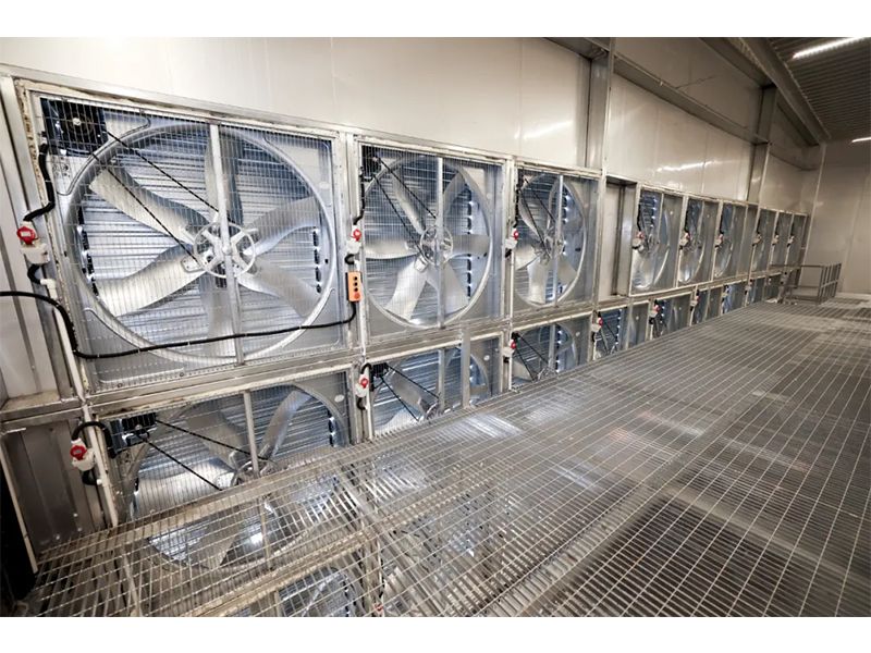 春夏氣溫驟升之際，雞舍應(yīng)該采取哪些應(yīng)對措施？