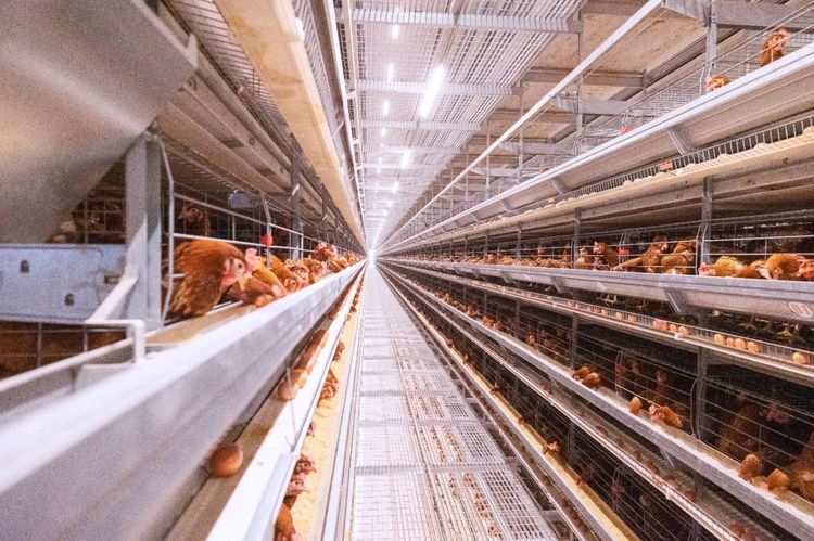 夏季來臨，使用水簾時(shí)需要注意哪些事項(xiàng)？