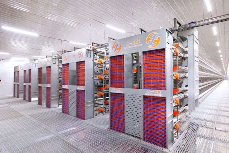 [轉(zhuǎn)載]引進(jìn)龍頭企業(yè) 打造畜牧養(yǎng)殖新名片|卓一牧業(yè)承建的百萬蛋雞智慧養(yǎng)殖項(xiàng)目被河南日報(bào)報(bào)道