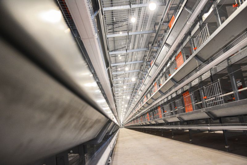  本交籠硬件設(shè)備圖